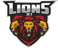 Lions Xi Team Flag