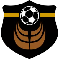 Fortaleza Team Flag