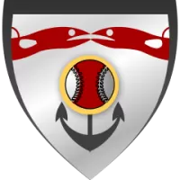 Hermosillo Team Flag
