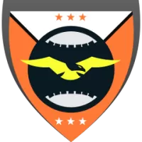 Lom Team Flag