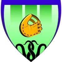 Maz Team Flag