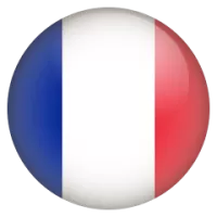 France Team Flag