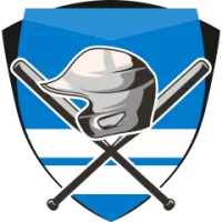 Escogido Team Flag