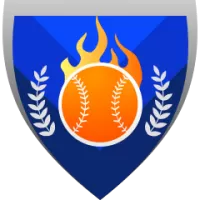 Jal Team Flag