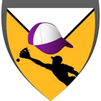 Culiacan Team Flag