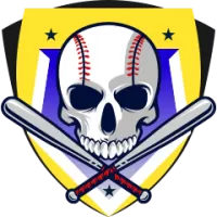 Toros Team Flag