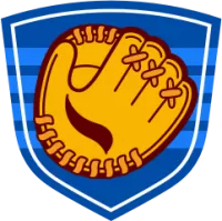 Mgu Team Flag