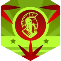 Borac Team Flag
