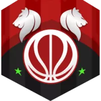Buducnost Voli Team Flag