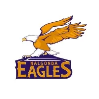 Nalgonda Eagles Team Flag