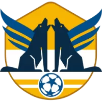 Al Faisaly Team Flag