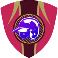Zulia Team Flag