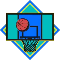 Niners Chemnitz Team Flag