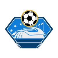 Empoli Team Flag