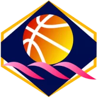 Cairns Taipans Team Flag