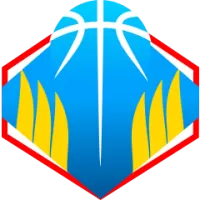 Sydney Kings Team Flag