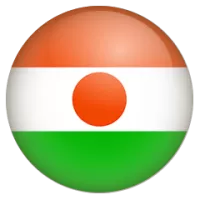 Niger Team Flag