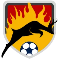 Ess Team Flag