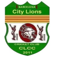 City Lions Team Flag