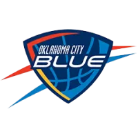 Oklahoma City Blue Team Flag