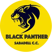 Black Panthers Team Flag
