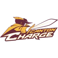 Ctn Team Flag