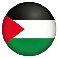 Palestine Team Flag