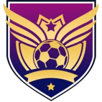 Avispa Fukuoka Team Flag