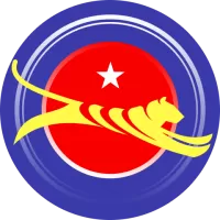 Sbyc Team Flag