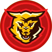 Bbda Team Flag
