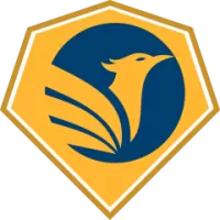 Odense Handbold Women Team Flag