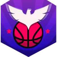 Mega Basket Team Flag