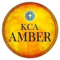Amber Team Flag