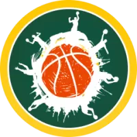 Ank Team Flag