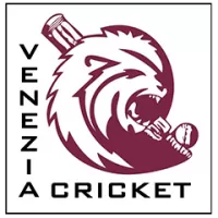 Venezia Team Flag