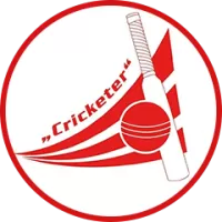 Cricketer Cc Team Flag