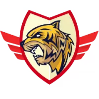 Guangzhou Fc Team Flag