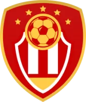 Cangzhou Mighty Lions Team Flag