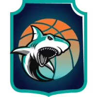 Southland Sharks Team Flag