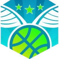 Bf Team Flag