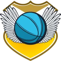 Chiba Jets Team Flag