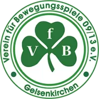 About VfB Gelsenkirchen Team