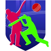 Bauhinia Stars Team Flag