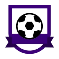 Rsc Anderlecht Team Flag