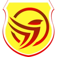 Rebro Sk Team Flag