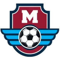 Malmö FF Flag