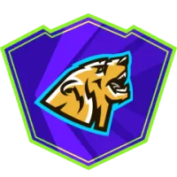 Asl Team Flag