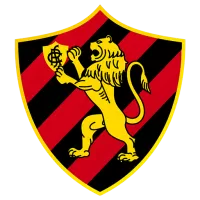 Sport Team Flag