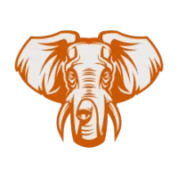 About Tuskers Team