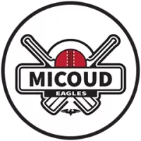 Micoud Eagles Team Flag
